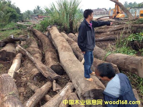 �ϓ뻨���Ԕ��(x��)��B