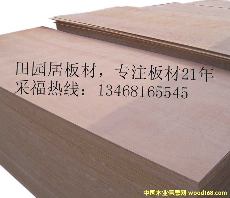 �Ҿ߰� ���B(t��i)��S�� ���sľ