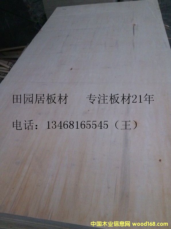 18����Ӱ� �������B(t��i)��