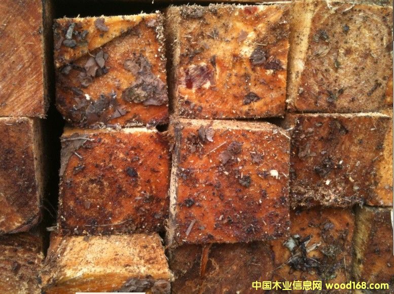 ľ����Ԕ��(x��)��B