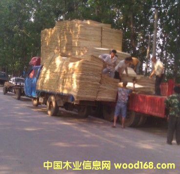 ��Ƥ�b܇��Ԕ��(x��)��B