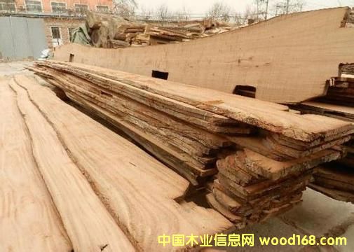 ɽ�|��������ľ