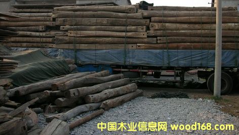 ����ľ��Ԕ��(x��)��B