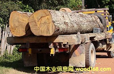 �����t̴��ľ��Ԕ����B