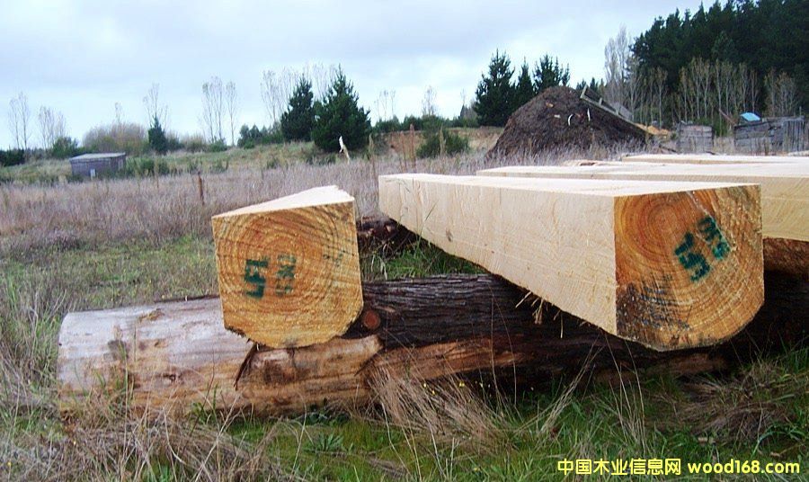 �������P̴ľ��Ԕ����B