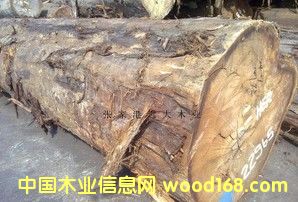 �y�ژ�(sh��)