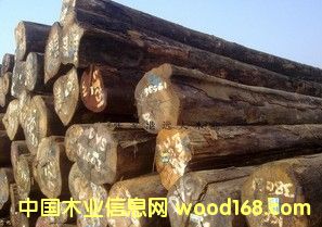 �M(j��n)�ڈ�ľ ԭľ �t�� �׈�