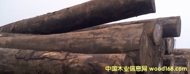 �M�� ���� ���޲��}��