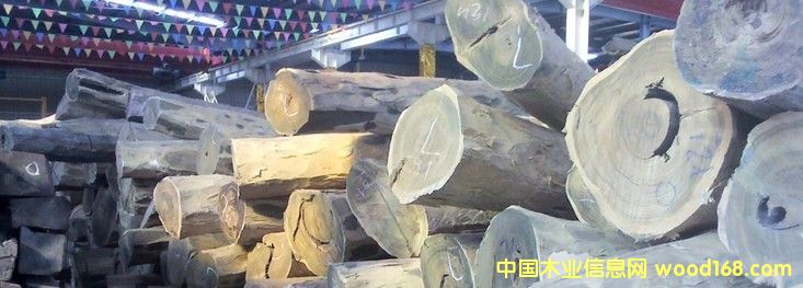 �M(j��n)�� �G̴ ԭľ��Ԕ��(x��)��B