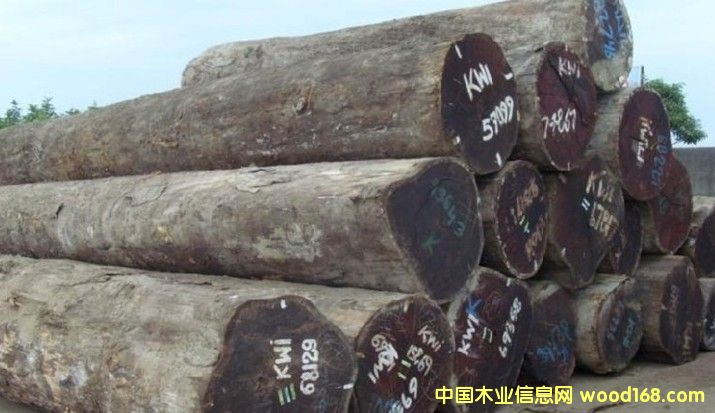 ��С�� �Џ� �󏽣����}��