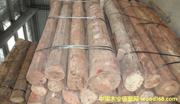  �Ჴ�� С�~��̴��Ԕ��(x��)��B