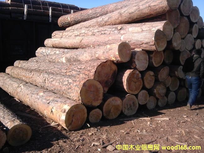 �|���������ԭľ���ľ����Ԕ����B