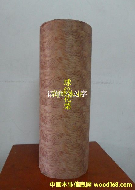 �c���鿴�м�ľƤ��y����Ŵ�DƬ