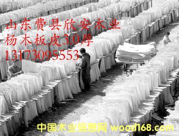 ��ľ��Ƥ��Ԕ��(x��)��B