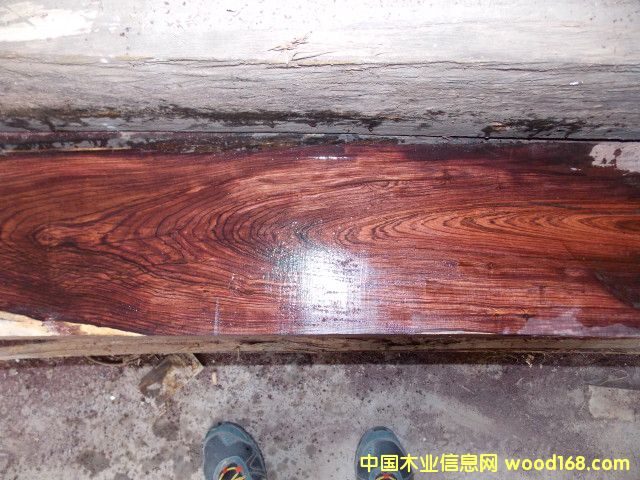 Խ���S�����Ԕ����B