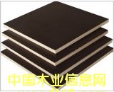 �R�ʸ�Ĥ���Ԕ��(x��)��B