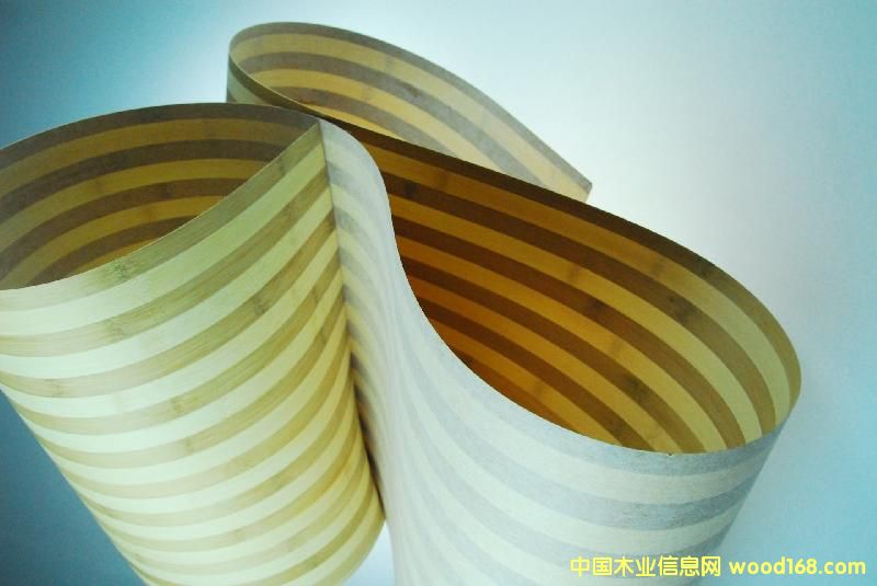 ��Ƥ��Ԕ����B