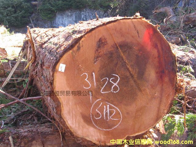 �tѩ�ɵ�Ԕ��(x��)��B