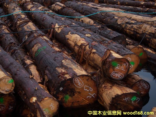 �Sѩ�ɵ�Ԕ��(x��)��B