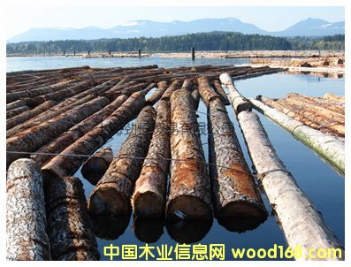 �����ɵ�Ԕ��(x��)��B