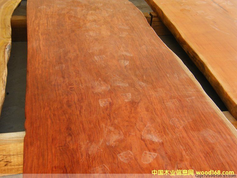 ��̖(h��o) 84-26��Ԕ��(x��)��B