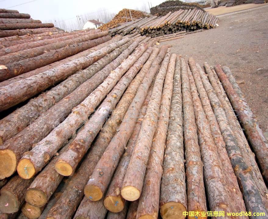 ɼľ��Ԕ��(x��)��B