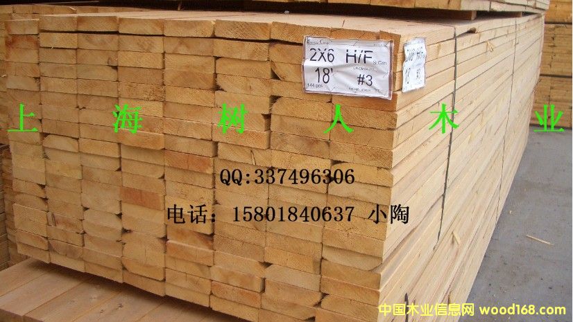 �Fɼ��Ԕ��(x��)��B