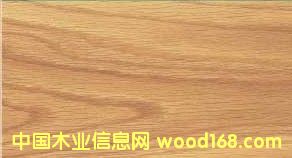 ����ľ��Ԕ��(x��)��B