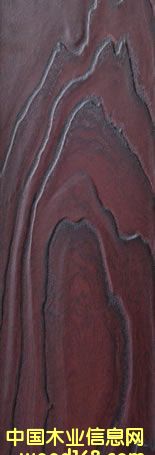 ɭ�����ذ��Ԕ��(x��)��B