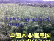 �c(di��n)���鿴�������N����ɼ��Ŵ�DƬ