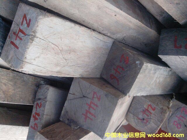 ��֦ԭľ���ϵ�Ԕ����B