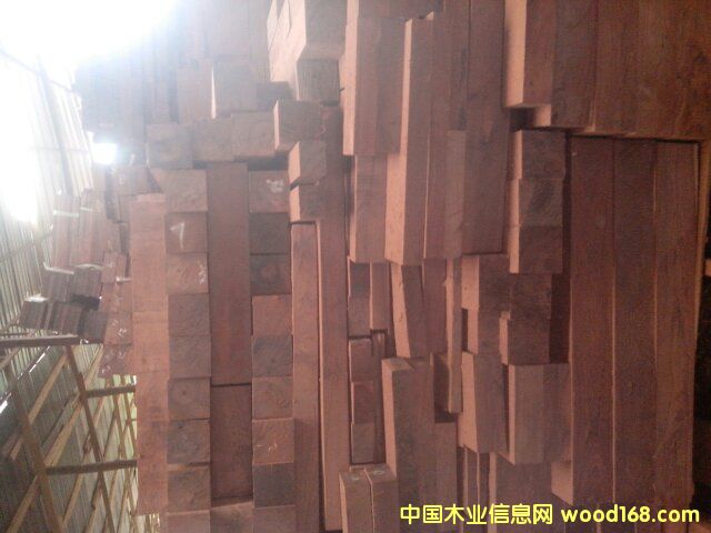 ��֦�Ҿ��ϵ�Ԕ����B