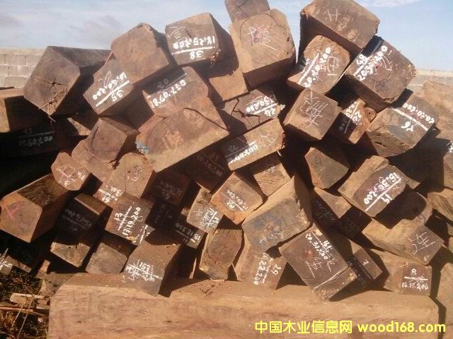 ����ľ��Ԕ����B