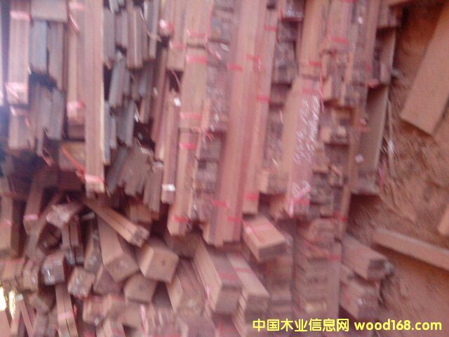 ��֦�Ҿ��ϵ�Ԕ����B