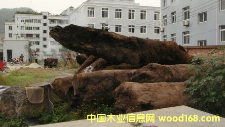 С�~�E骞�ľ��Ԕ��(x��)��B