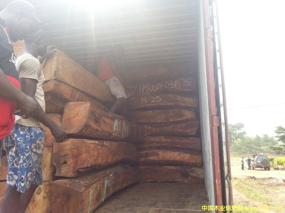 �����̴��Ԕ��(x��)��B