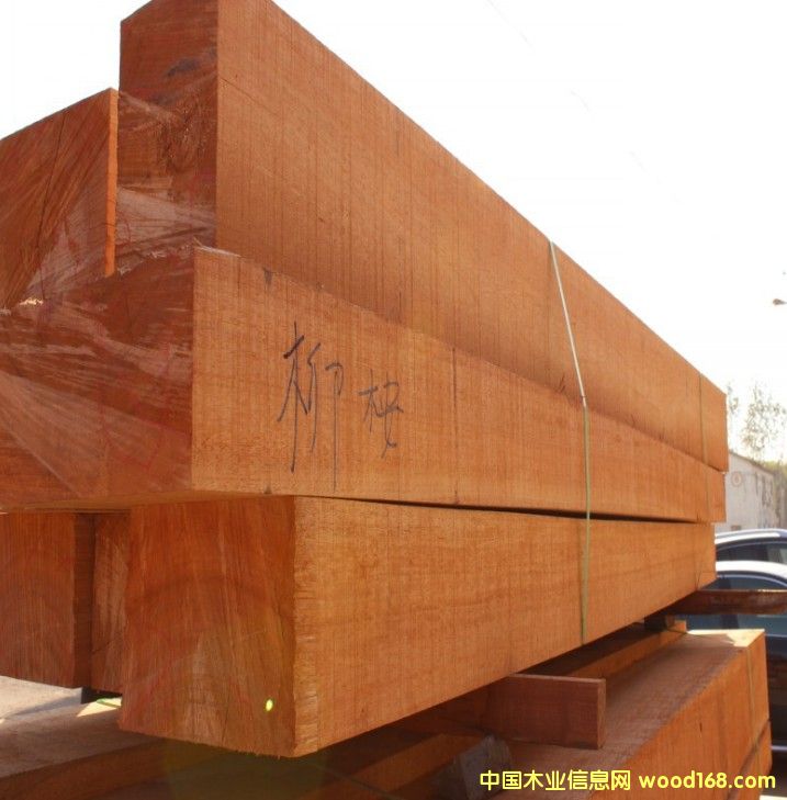 ����ľ��Ԕ��(x��)��B