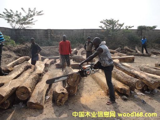 �����S�����Ԕ����B