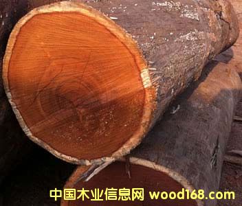 ���}��ԭľ��Ԕ��(x��)��B