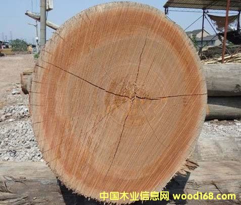 ����ԭľ��Ԕ��(x��)��B