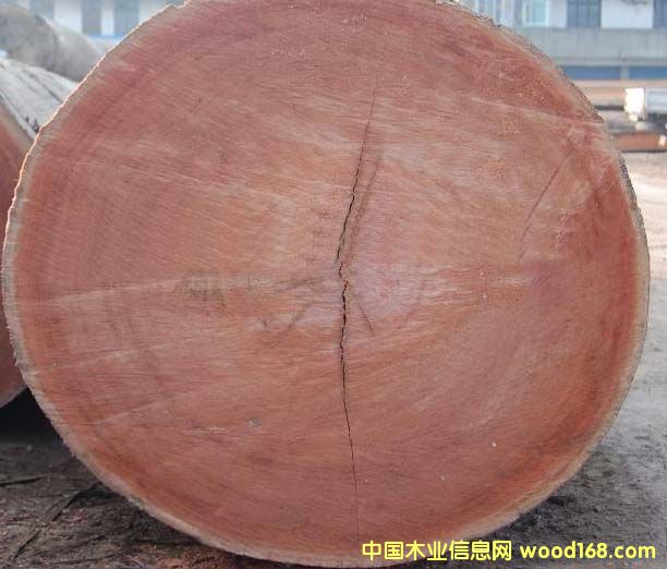 ɽ��ľԭľ��Ԕ��(x��)��B