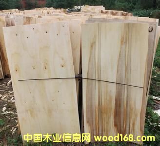 �c(di��n)���鿴ľƤľ�Së�^�Ŵ�DƬ