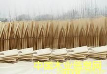 �c(di��n)���鿴ľƤľ�Së�^�Ŵ�DƬ