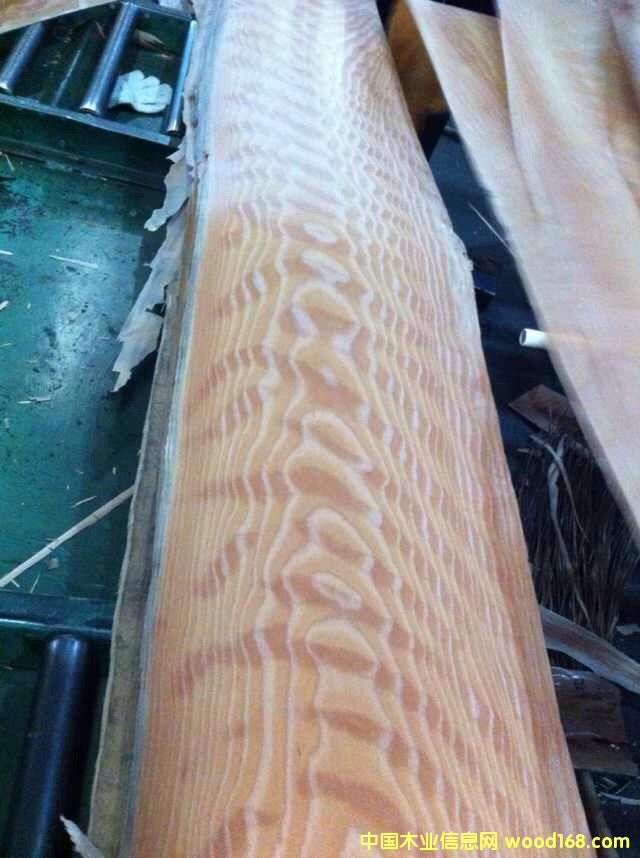 ��ľ��Ӱ��Ԕ��(x��)��B