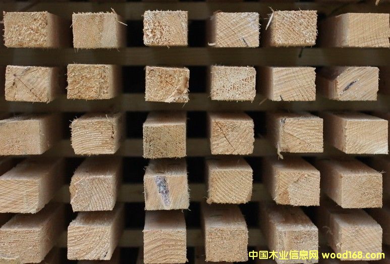 ���l��Ԕ����B