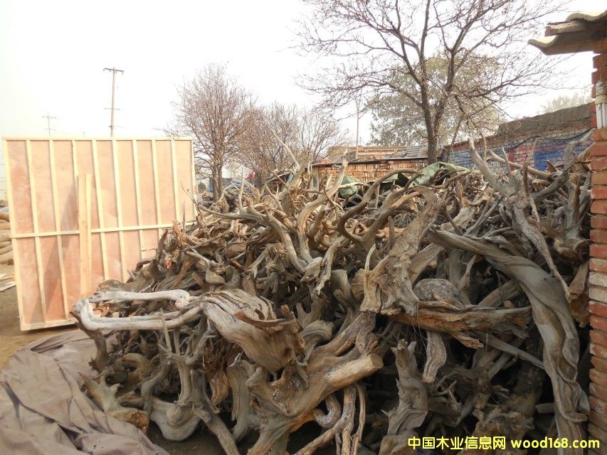 �c���鿴�°�ë�ϷŴ�DƬ