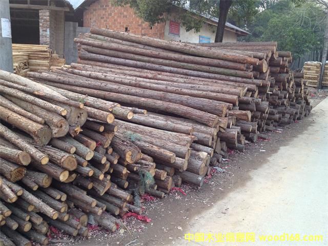 ɼľ���a(ch��n)�^(q��)��Ԕ��(x��)��B