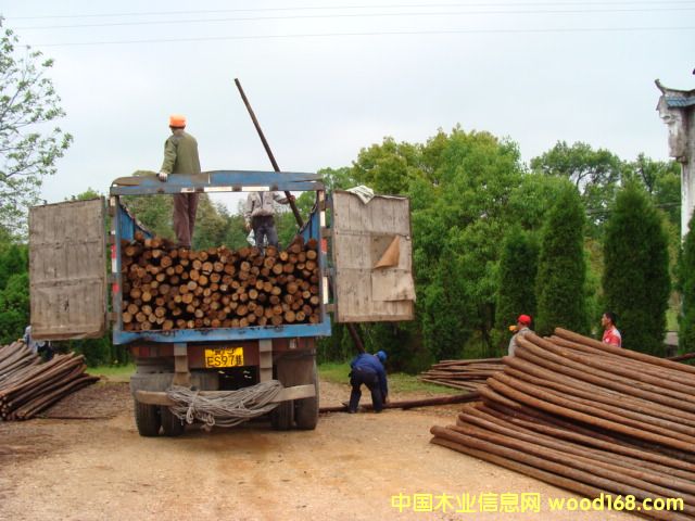 ɼľ�G���U