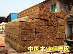 防腐落葉松 防腐落葉松