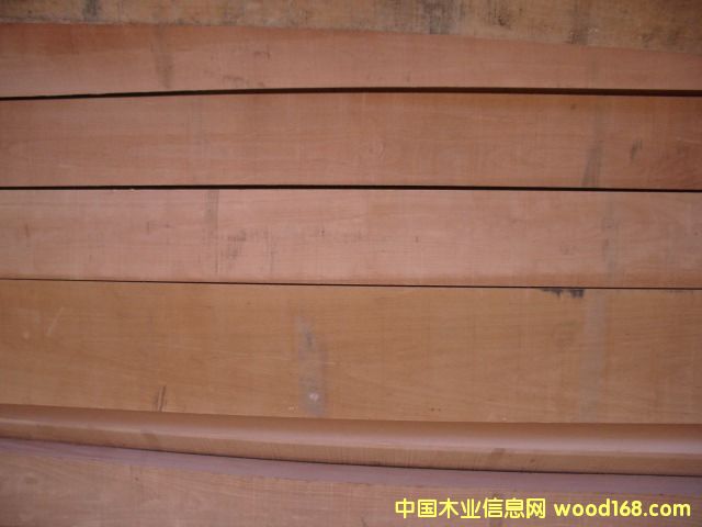 歐洲櫸木齊邊材 歐洲櫸木齊邊材